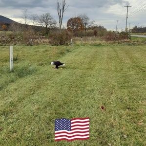 Meet your Posher, Peggy